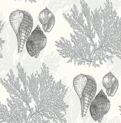 Brewster/ASP 2927-81200 Nauset Black Seashell Shores Wallpaper> Damask, Trellis & Geometrics