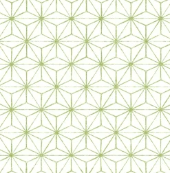 Brewster/ASP 2764-24312 Orion Green Geometric Wallpaper> Florals
