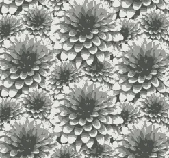 Brewster/ASP 2861-87518 Umbra Charcoal Floral Wallpaper> Architectural
