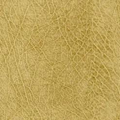 Vision Abilene 606 Honey Fabric Sale