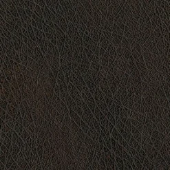 Vision Abilene 8006 Walnut Fabric Best