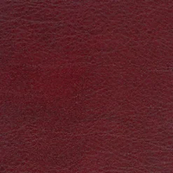 Vision Allegro ALG 7055 Cognac Fabric> Solid, Texture & Faux