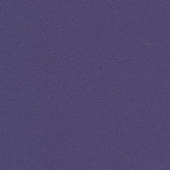 Vision Allsport 3009 Bright Violet Fabric Hot