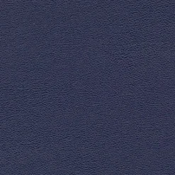 Vision Allsport 308 Electric Blue Fabric> Solid, Texture & Faux