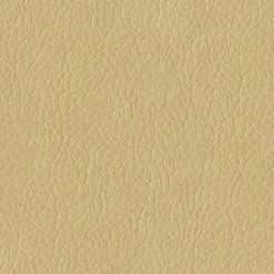 Vision Amarillo 6003 Cream Fabric New
