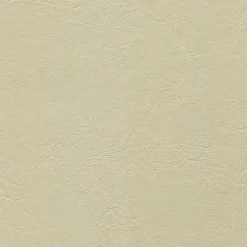 Vision Armada 102 Biscay Ivory Fabric> Solid, Texture & Faux