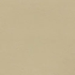 Vision Armada 118 Sand Dune Fabric> Solid, Texture & Faux