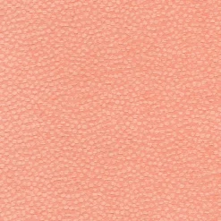 Regal Arno Coral Fabric Online