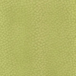 Regal Ashby Apple Fabric Hot