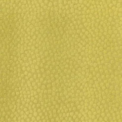 Regal Ashby Citron Fabric> Trim