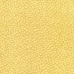 Regal Ashby Sun Fabric Sale