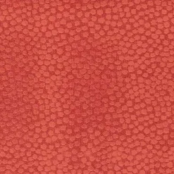 Regal Ashby Watermelon Fabric> Trim