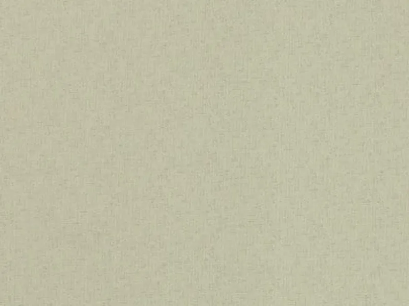 Covington Aster 106 Canvas Fabric> Solid, Texture & Faux