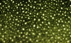 Regal Aubrie Parsley Fabric> Trim