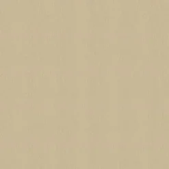 Vision Avalon 528583 Sand Dune Fabric> Solid, Texture & Faux