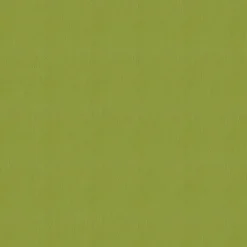 Vision Avalon 528608 Sprout Fabric> Solid, Texture & Faux