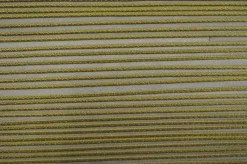 Stock/Classical Elements BM300 874 Classical Elements 1/8 inch Micro Lip Cord Trim> Toile