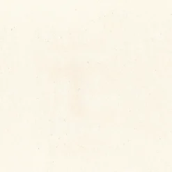 Regal Bronco Natural Fabric Online