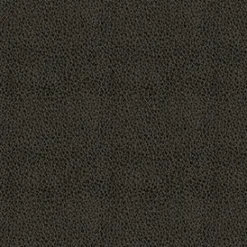 Vision Claro 909 Charcoal Fabric> Solid, Texture & Faux