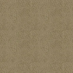 Vision Claro 6009 Taupe Fabric New
