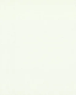 York COD0502N White/Off Whites Honey Bee Wallpaper> Florals