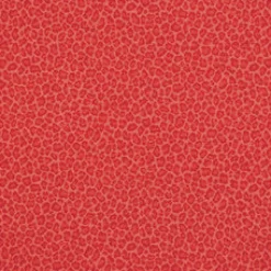 PKaufmann_inc/PK Cubby Grenadine P Kaufmann Fabric> Animals & Insects