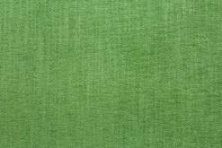 Stock/Crypton Daily Greenery Crypton Fabric Outlet