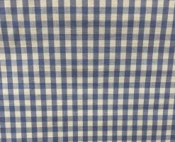 Stock/Heritage/Roth DC71 Chester Sky Check Plaid Fabric> Plaids & Checks