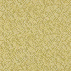 Stock/Covington Dotify Jonquil Covington Fabric