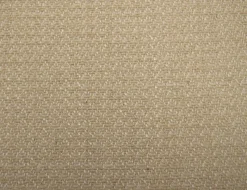 Crypton Elise Fawn Fabric Best