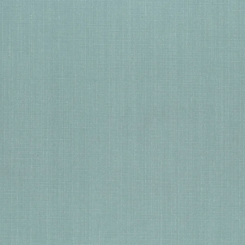 Regal Empire Cloud Fabric> Solid, Texture & Faux