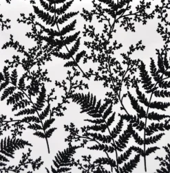 York Forest Fern Black Magnolia Home Vol. II Wallpaper> Damask, Trellis & Geometrics