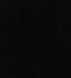 PKaufmann_inc/PKL Furocious 404778 Panther PKL Studio Fabric Best