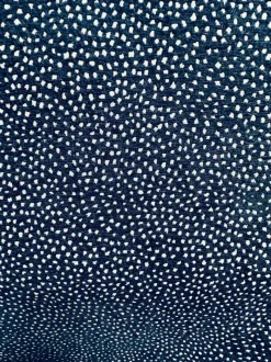 Tempo Galaxy Navy Fabric
