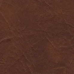 Vision Gaucho 88 Aztec Fabric Online