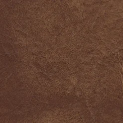 Vision Gaucho 888 Desert Sand Fabric Best