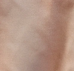 Stock/Closeout Gecko Coral Jays Textiles Fabric Outlet