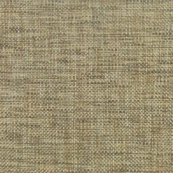 PKaufmann_inc/PK Groupie Acorn Pkaufmann Fabric> Specialty