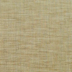 PKaufmann_inc/PK Groupie Ale Pkaufmann Fabric> Specialty
