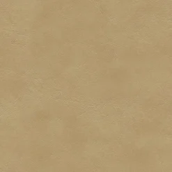 Vision Hampton 048 Parchment Fabric New