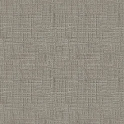 Vision Heavenly 97 Cinder Fabric> Solid, Texture & Faux