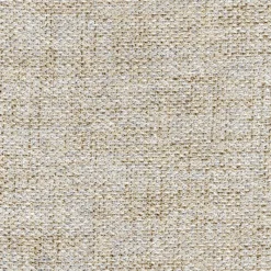 Regal Imagine Oat Fabric New