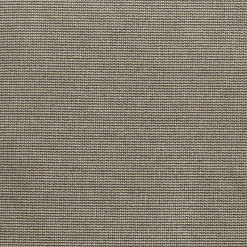 Regal Jive Flannel Fabric> Solid, Texture & Faux