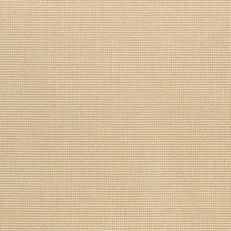 Regal Jive Sand Fabric