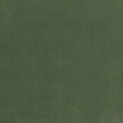 Regal Linden Fern Fabric> Trim