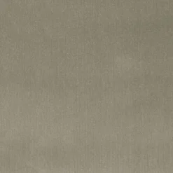 Regal Linden Moonstruck Fabric> Trim