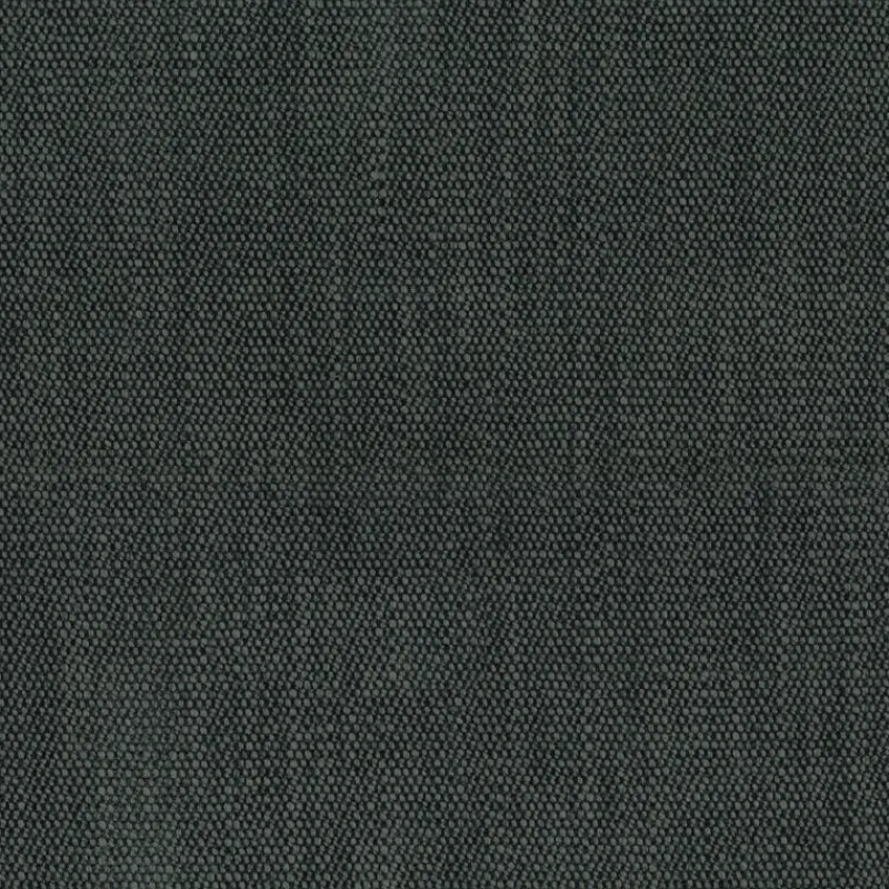 Regal Lucy Ink Fabric Online