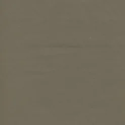 Vision Lunar Medium Neutral 100 Fabric> Solid, Texture & Faux