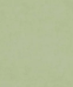 Stock/Merrimac M9989 Celadon Barrow Fabric> Trim