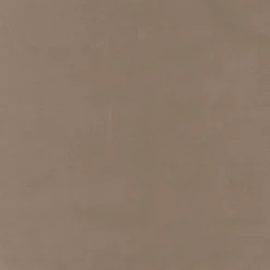 Regal Map Mushroom Fabric> Trim